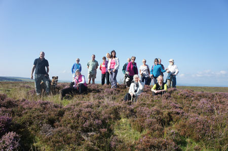Group of walkers resting on Llanllwni Mountain.